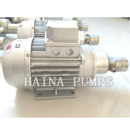 GM Magnetic Drive Gear Pump