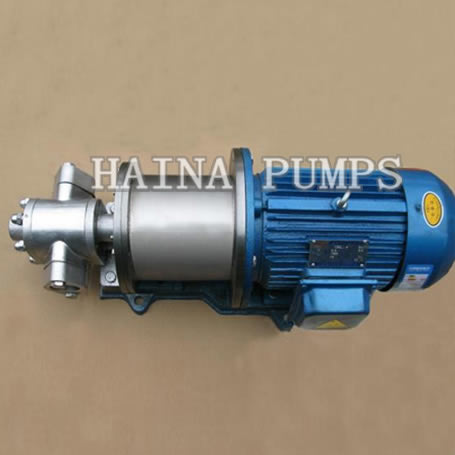 MCK Magnetic Drive Gear Pump