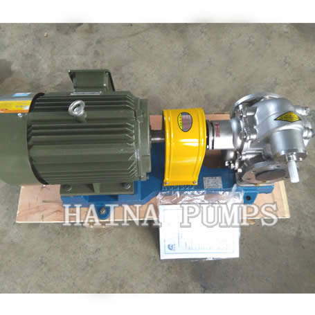 SS Gear Pump